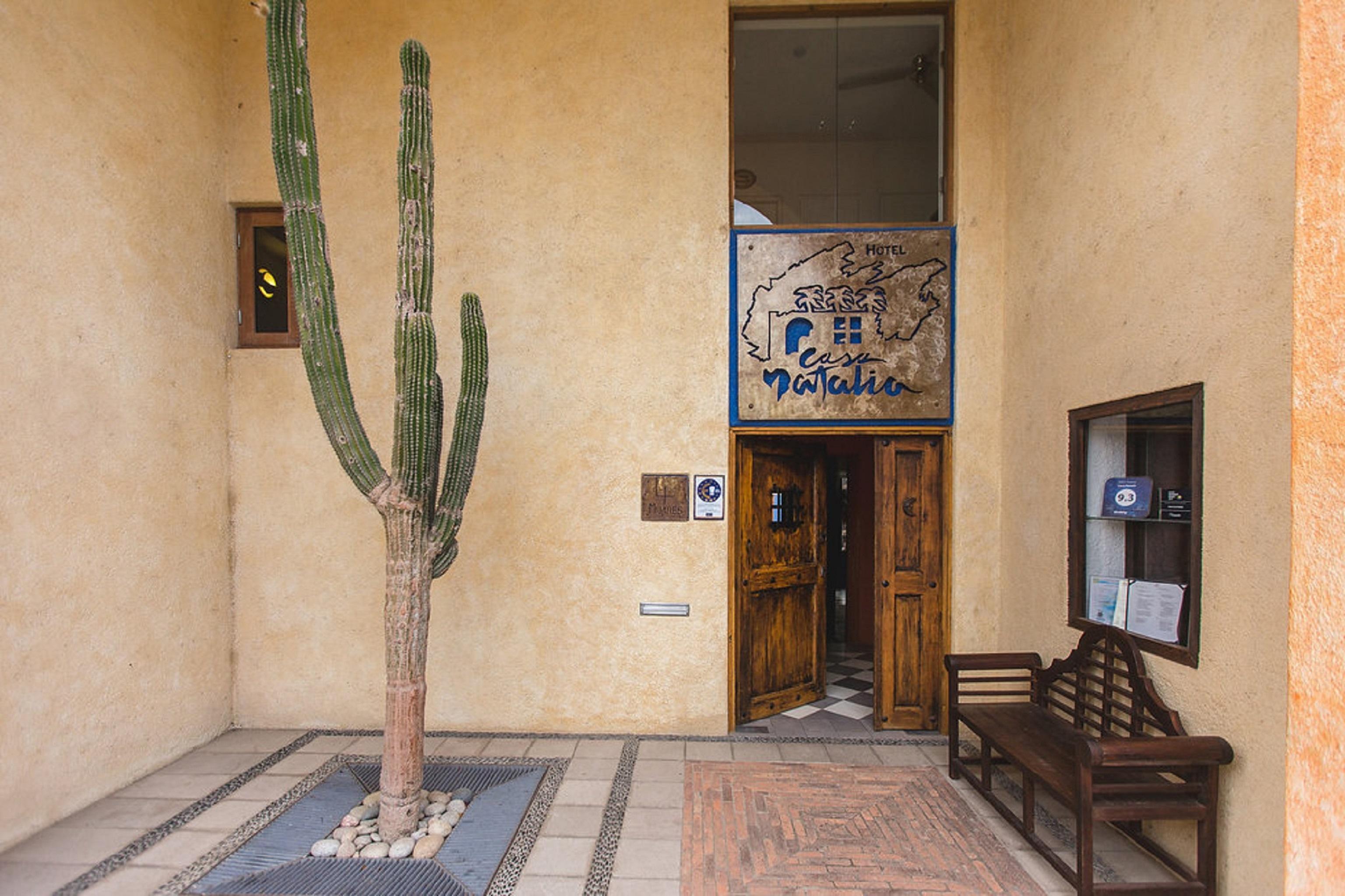 San José del Cabo 卡萨纳塔利娅旅馆酒店 外观 照片