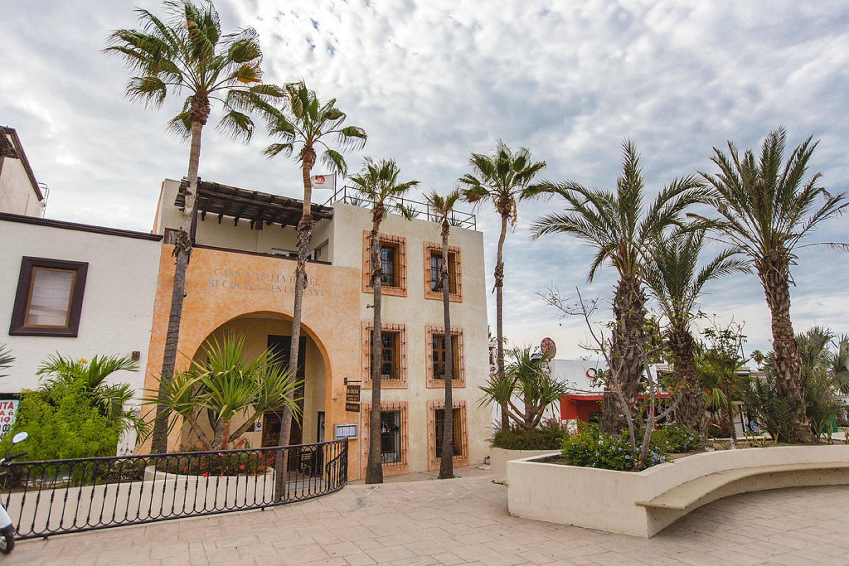 San José del Cabo 卡萨纳塔利娅旅馆酒店 外观 照片