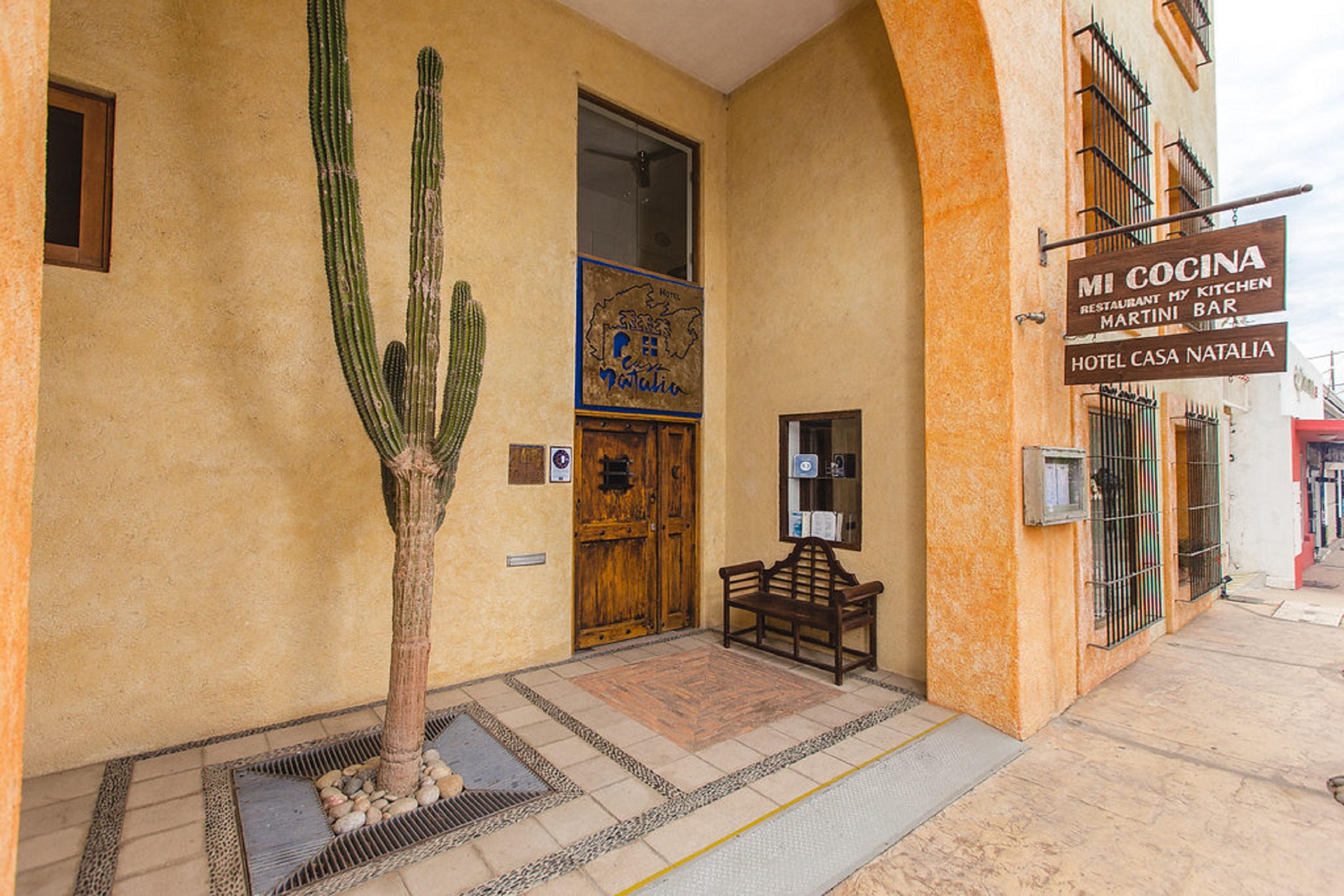 San José del Cabo 卡萨纳塔利娅旅馆酒店 外观 照片