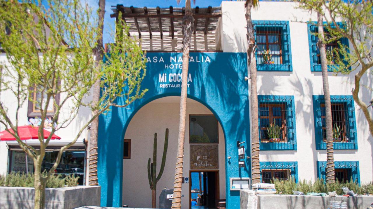 San José del Cabo 卡萨纳塔利娅旅馆酒店 外观 照片